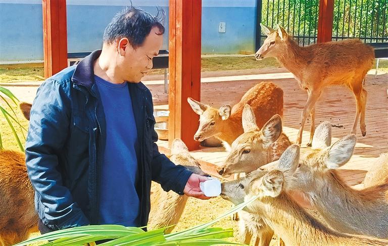 量发展产业调研】林下生金不朽情缘游戏网站【高质